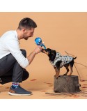 Casaco para Cães The Avengers Cinzento L