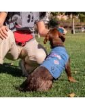Chaqueta para Perro Minnie Mouse M Azul