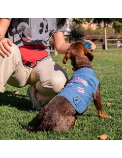 Dog coat Minnie Mouse M Blue