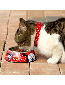 Comedouro para Cão Minnie Mouse Vermelho Melamina 180 ml