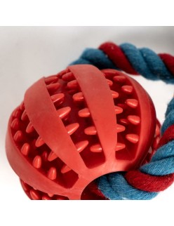 Dog chewing toy Spider-Man 10 x 30 x 7 cm