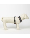 Dog Harness Harry Potter M/L Reversible