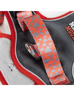 Dog Harness Minnie Mouse L/XL