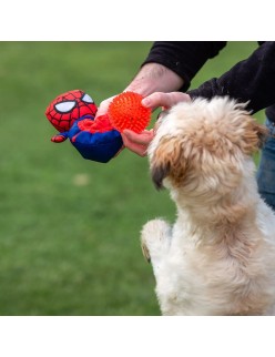 Dog toy Spider-Man Red 11,0 x 18,0 x 10,0 cm