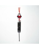 Cat toy Minnie Mouse Black Red