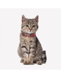 Coleira para Cães Minnie Mouse Vermelho