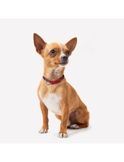 Coleira para Cães Minnie Mouse Vermelho