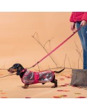 Imperméable pour Chien Minnie Mouse Rouge M
