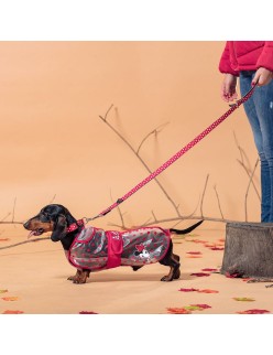 Gabardina para Cães Minnie Mouse Vermelho M