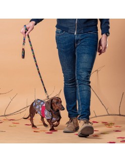Impermeabile per Cani The Avengers Rosso Trasparente M