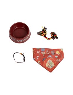Conjunto de Oferta Harry Potter Vermelho Escuro 21,0 x 21,0 x 8,8 cm Cão 4 Peças