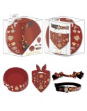 Conjunto de Oferta Harry Potter Vermelho Escuro 21,0 x 21,0 x 8,8 cm Cão 4 Peças