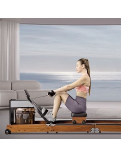 Máquina de remo Xiaomi Kingsmith WR1