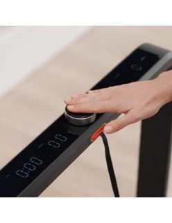 Cinta de Correr Xiaomi Kingsmith X21