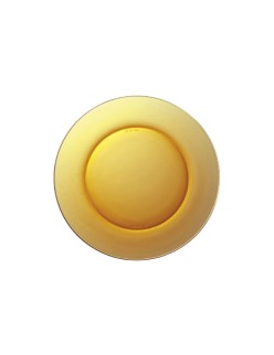 Flacher Teller Duralex Lys Bernstein Ø 23,5 cm (24 Stück)