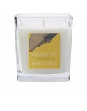 Scented Candle Alyssa Ashley Shining Citrus 145 g
