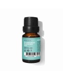 Body Oil Daffoil Aceite Esencial Mint 10 ml