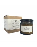 Air Freshener Focdenit VELA FOCDENIT (1 Unit)