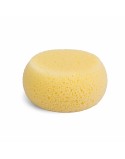 Body Sponge Suavinex