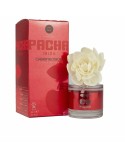 Air Freshener Pacha PACHA IBIZA 95 ml