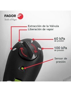 Ensemble de Marmites Express Fagor Acier inoxydable 10 L 2 Pièces