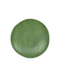 Plato Llano Verde Ø 26 cm (6 Unidades)