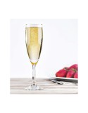 Champagnerglas La Mediterránea (24 Stück)