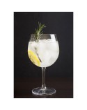 Calice per vino La Mediterránea (24 Unità)