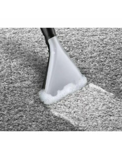 Aspirateur sans sac BOSCH BWD421PRO Blanc Noir Noir/Blanc 2100 W