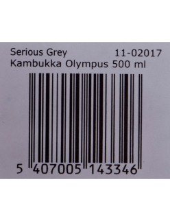 Thermos Kambukka Olympus Acciaio inossidabile 500 ml