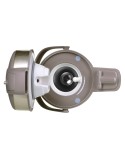 Termo Feel Maestro MR-1637-300-GOLD Ouro Aço inoxidável 3 L