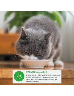 Snack für Katze Inaba Dashi Delights Huhn 70 g