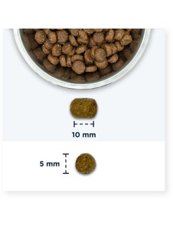 Comida para gato Eukanuba Adult Chicken Pollo 2 Kg