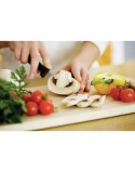 Express-Töpfe Morphy Richards 501020 Edelstahl Kunststoff 1,6 L