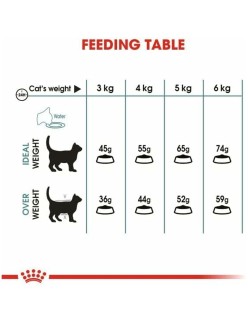 Katzenfutter Royal Canin Erwachsener Huhn Reise Mais Pflanzlich Vögel 10 kg