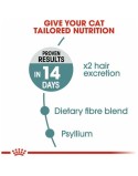 Aliments pour chat Royal Canin Adulte Poulet Riz Maïs Légumes Oiseaux 10 kg