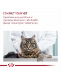 Katzenfutter Royal Canin Erwachsener Huhn Reise Mais Pflanzlich Vögel 10 kg