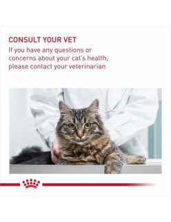 Katzenfutter Royal Canin Erwachsener Huhn Reise Mais Pflanzlich Vögel 10 kg