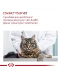Katzenfutter Royal Canin Erwachsener Huhn Reise Mais Pflanzlich Vögel 10 kg