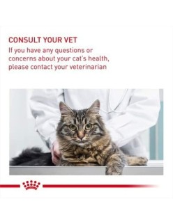 Katzenfutter Royal Canin Erwachsener Huhn Reise Mais Pflanzlich Vögel 10 kg