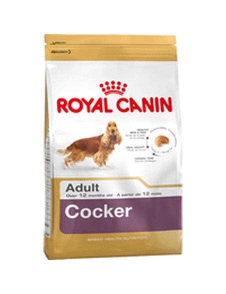 Nourriture Royal Canin Cocker Adult Adulte Poulet Riz Maïs Oiseaux 12 kg