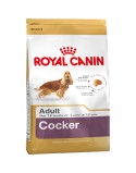 Nourriture Royal Canin Cocker Adult Adulte Poulet Riz Maïs Oiseaux 12 kg