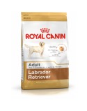Futter Royal Canin Labrador Retriever Adult Erwachsener Huhn Reis Vögel 12 kg