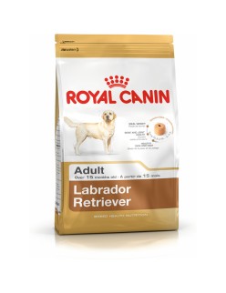 Nourriture Royal Canin Labrador Retriever Adult Adulte Poulet Riz Oiseaux 12 kg