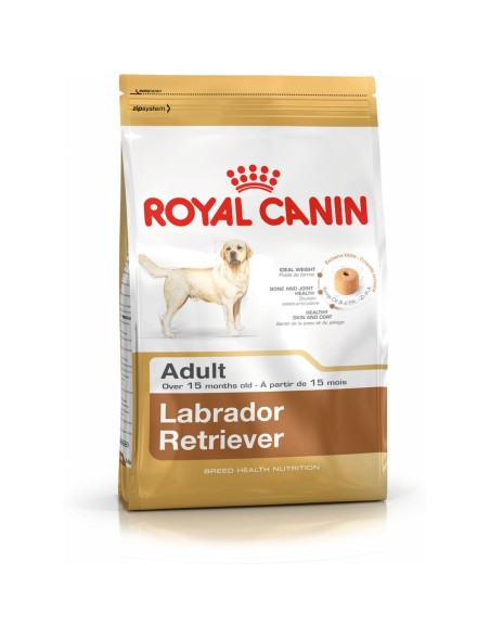 Futter Royal Canin Labrador Retriever Adult Erwachsener Huhn Reis Vögel 12 kg