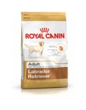 Futter Royal Canin Labrador Retriever Adult Erwachsener Huhn Reis Vögel 12 kg