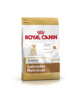 Nourriture Royal Canin Labrador Retriever Junior Petit/Junior Poulet Riz Maïs Oiseaux 12 kg