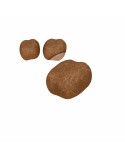 Comida para gato Royal Canin Oral Care Adulto 1,5 Kg