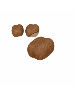 Comida para gato Royal Canin Oral Care Adulto 1,5 Kg