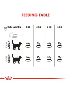 Comida para gato Royal Canin Oral Care Adulto 1,5 Kg